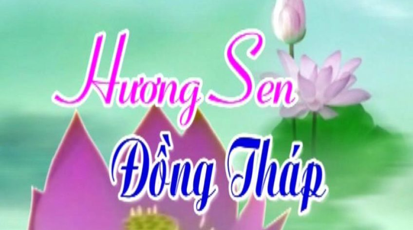 Hương sen Đồng Tháp - 18/10/2019