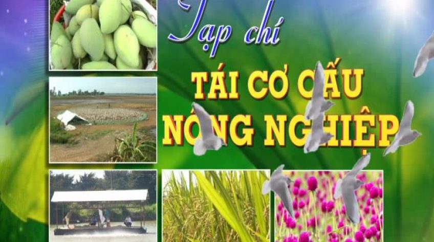 Tái cơ cấu nông nghiệp - 10/03/2019