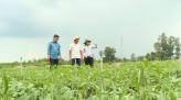 Trải nghiệm tiêm vắc xin Covid-19