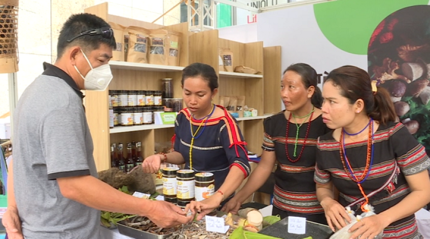 Lạ mắt với nhiều gia vị mới ở vùng cao