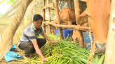 Rộn ràng Lễ hội Vía Bà Chúa Xứ Gò Tháp
