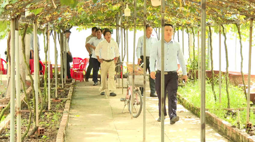 Chuyên gia Bộ NN&PTNT khảo sát du lịch tại TP.Cao Lãnh