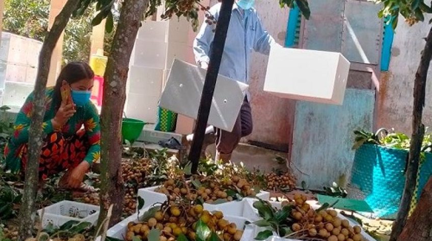 Đã tiêu thụ được 9.700 tấn nông sản của nông dân Đồng Tháp