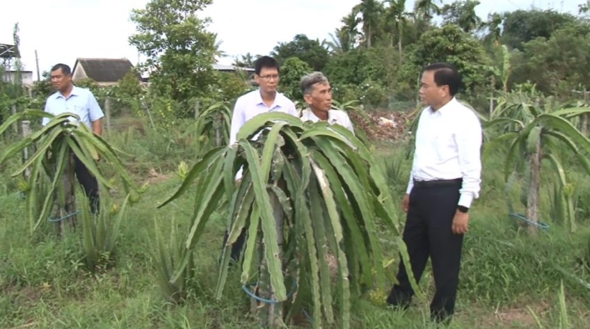 Chủ tịch UBND tỉnh Đồng Tháp thăm mô hình nông nghiệp Châu Thành