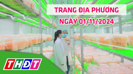 Trang địa phương - Thứ Sáu, 01/11/2024 - H.Lấp Vò