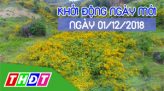 Nhịp sống 24h - Thứ Hai, 03/12/2018