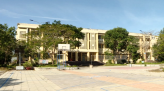 Cửa khẩu ùn tắc, doanh nghiệp Đồng Tháp chủ động chuyển hướng