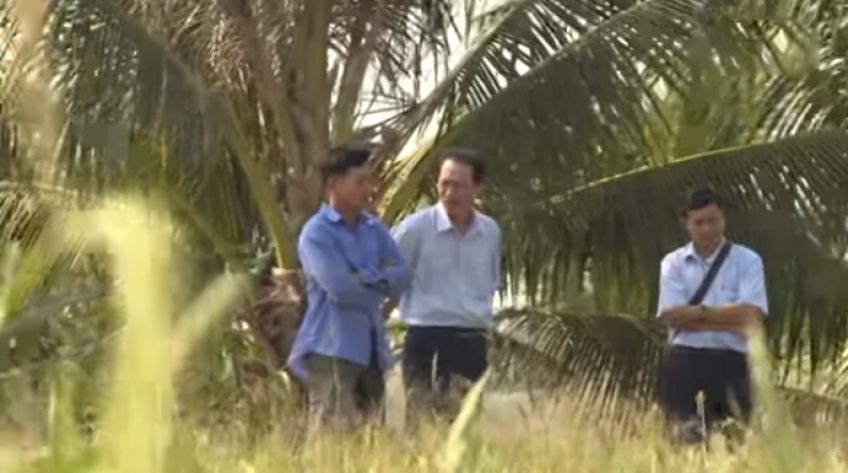 Nông dân hoang mang vì giống lúa thiên đàng