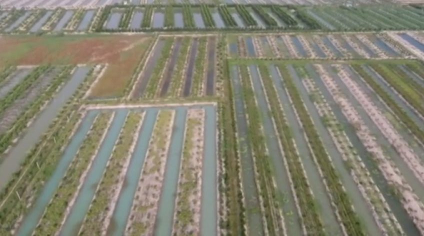 Hóa giải mâu thuẫn giữa vườn và ruộng