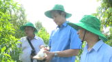 Những dấu ấn đầu tiên của mùa hè tình nguyện