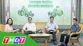 Đặc sản miền sông nước - Cơm mắm ngày mưa