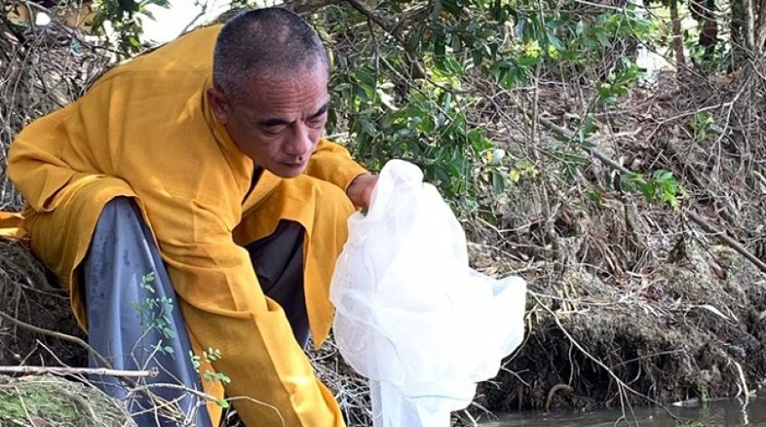 Hàng trăm cá thể động vật hoang dã thu gom từ các chợ thả vào VQG Tràm Chim