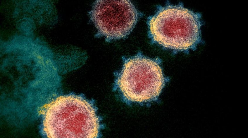 WHO cảnh báo virus SARS CoV-2 có thể không bao giờ biến mất