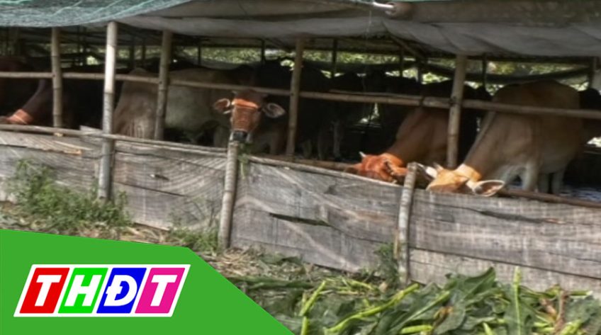 Trang địa phương - Thứ Năm, 02/01/2020 - Huyện Tam Nông