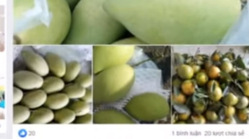 Người trẻ giúp nông dân mua bán nông sản thời Covid-19