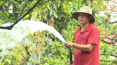 Tri thức hóa nông nghiệp từ người trẻ