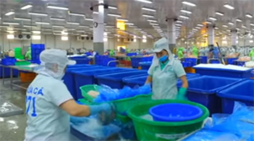 Doanh nghiệp với chỉ số đào tạo lao động