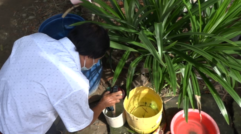 Người dân lại quên phòng bệnh sốt xuất huyết