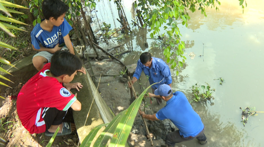 Những dấu ấn đầu tiên của mùa hè tình nguyện