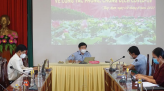 Đồng Tháp không tổ chức thi tốt nghiệp THPT đợt 2, 2021