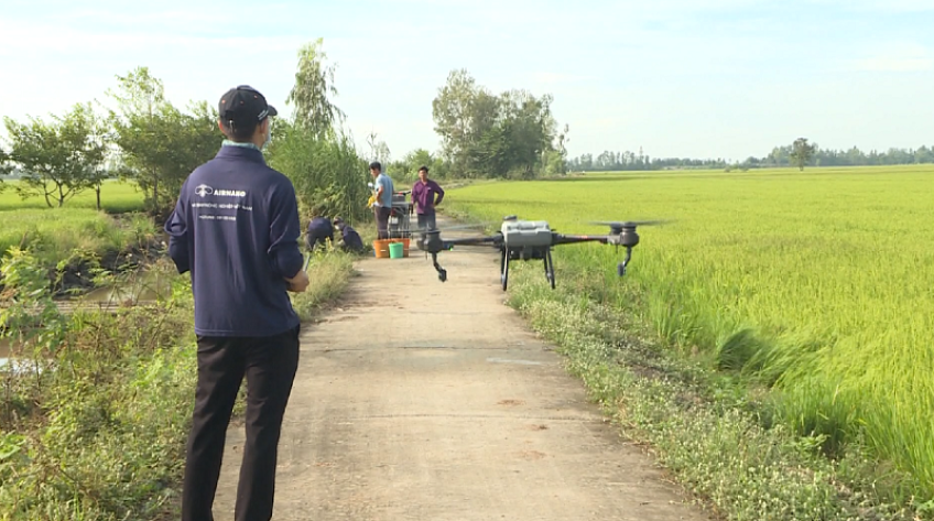 Những cánh đồng số