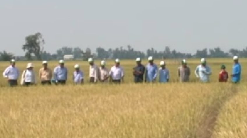 WB làm việc tại Đồng Tháp về WB9