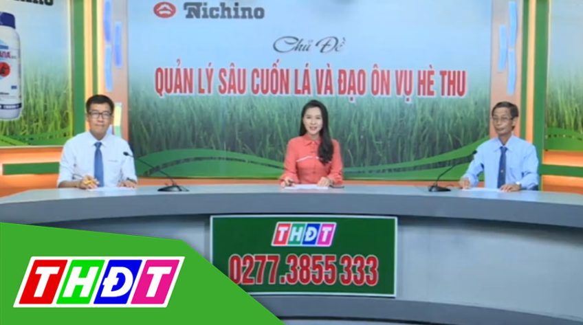 Tư vấn khuyến nông - 04/5/2020: Quản lý sâu cuốn lá và đạo ôn vụ hè thu