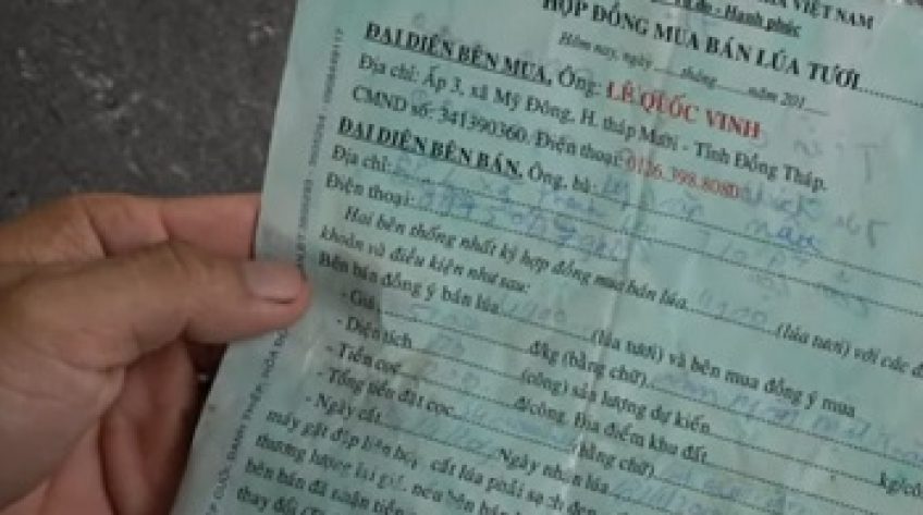 Điêu đứng vì thương lái không trả tiền lúa