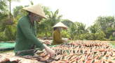 Tây ăn Tết ta - 06/02/2022: Thư pháp ngày Xuân