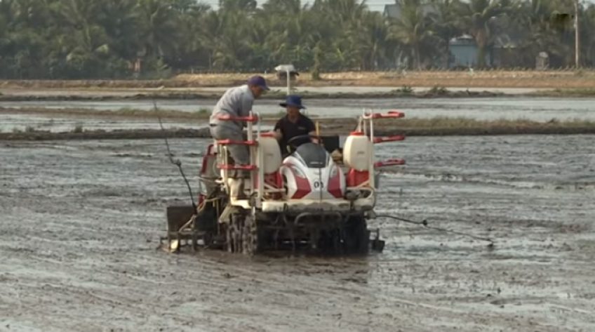 Ứng dụng công nghệ mới tại cánh đồng lúa lý tưởng