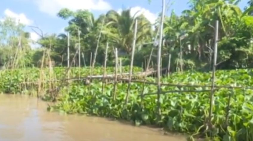 Kè sinh thái chống sạt lở bờ sông