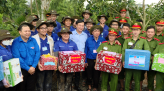 Đảm bảo đời sống cho người trồng lúa