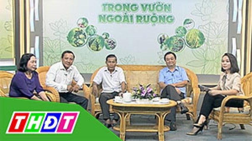 Trong vườn ngoài ruộng - 05/7/2019 - Sinh kế mới thay lúa 3 vụ