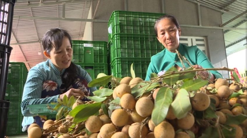 Nông dân đi giao hàng siêu thị
