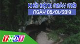 Nhịp sống 24H - Chủ nhật, 06/01/2019