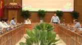 Khảo sát tình hình tiêu thụ hoa kiểng tết tại Sa Đéc