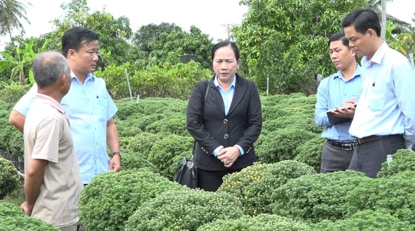 Khảo sát tình hình tiêu thụ hoa kiểng tết tại Sa Đéc