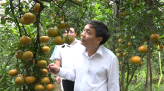 Ông Nguyễn Phước Thiện trúng cử chức danh Phó Chủ tịch UBND tỉnh Đồng Tháp