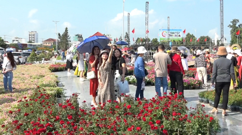 Ấn tượng Festival Hoa - Kiểng Sa Đéc lần thứ I