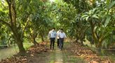 Truy vết 57 người tiếp xúc với 2 anh em nhân viên sân bay Tân Sơn Nhất