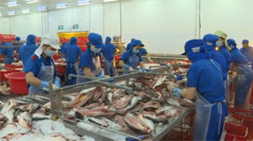 Cần chủ động với thị trường Trung Quốc