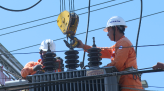 Thu thập dữ liệu phục vụ chuyển đổi số ngành nông nghiệp