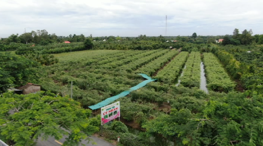 Có du lịch, nông nghiệp đẹp hơn, an toàn hơn