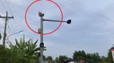 Tăng cường dạy bơi, nghiên cứu đưa môn bơi thành môn học bắt buộc