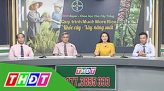 Tư vấn pháp luật - 24/9/2019 - Pháp luật về thừa kế