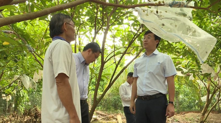 Bí thư Tỉnh ủy Đồng Tháp thăm nông dân TP.Cao Lãnh