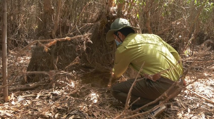 Công tác PCCC rừng ở VQG Tràm Chim được tăng cường