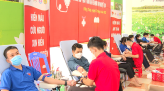 Công tác kiểm tra, giám sát cơ bản đạt chất lượng, hiệu quả