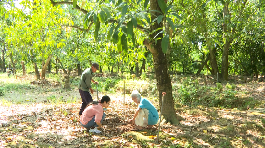 Nông nghiệp tái sinh - Lợi thế về kinh tế xanh của Đồng Tháp