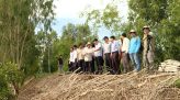 Nâng chất gia đình văn hóa từ cơ sở